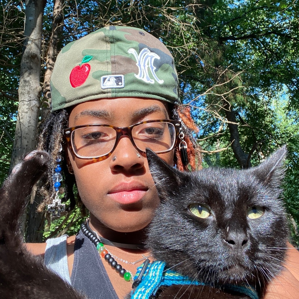 Meet your Posher, Holland